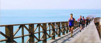 519中國旅游日 青島推出多樣主題活動，提供便捷旅游信息咨詢